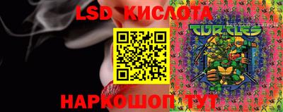 гидра Краснодар