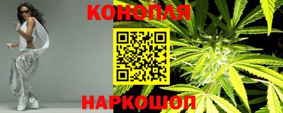 гидра Краснодар