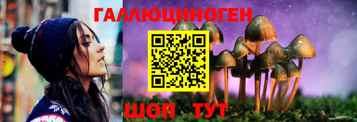 Псилоцибиновые грибы Magic Shrooms Кашира